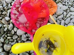 -青城两河漂流