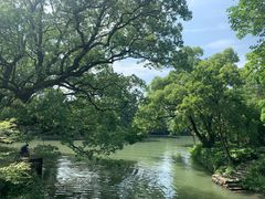 -西溪国家湿地公园