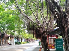 -白沙门生态公园