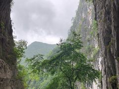 -百色大石围天坑群