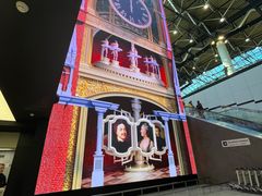 -谢列梅捷沃国际机场