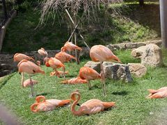 -沈阳森林动物园