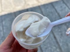-洪馨椰子