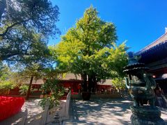 -红螺寺