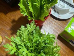 菠菜-香满锅老北京羊蝎子火锅·家常菜(新街口店)