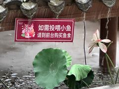 -祥福村