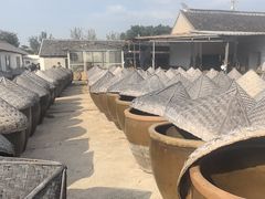 -苏州市吴中区光福窑上花果蜜饯厂