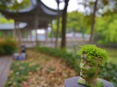 -美家乐农庄·露营·团建(大治路店)
