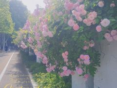 -南京航空航天大学(明故宫校区)