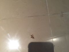 -北京西单美爵酒店