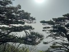 -安徽天堂寨风景区