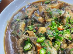 -全乐鱼馆·淳牌有机鱼直营店
