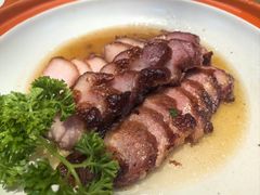 -阿皇仔烧鹅(麦地店)