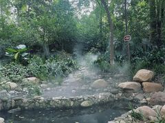 -成都市活水公园