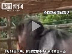 -太原动物园