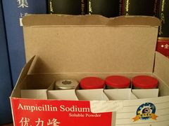 -邢大夫动物医院