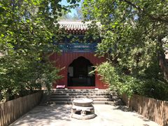 -大觉寺-停车场