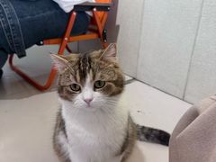 -平行世界·猫咖(首经贸店)