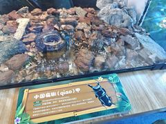 -海合安成都极地海洋公园