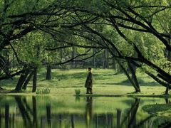 -上海共青森林公园