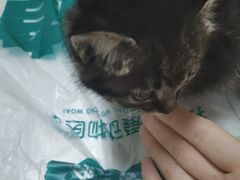 -瑞派宠物医院·24h·骨外科·皮肤科·全科宠物医疗转诊中心(沈阳浑南院)