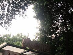 -东部华侨城