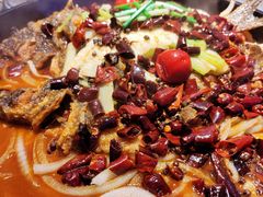 -老板恋上鱼(恒隆广场店)