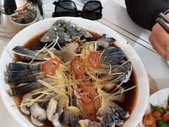 -煲来饱去冷水鱼