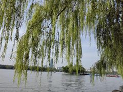 -济南大明湖景区