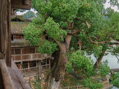 -刘伯温故里景区百丈漈