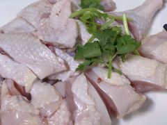 -千岛蚝高压锅生蚝·人参火锅(白云万达店)