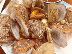 清蒸扇贝-华圆美食-老蓬莱菜(蓬港路店)