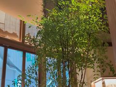 -RUXU入续糖水铺与包(卓悦中心店)