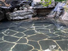 -昆明柏联SPA温泉