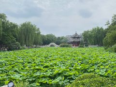 -莲池书院博物馆