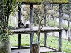 -碧峰峡风景区