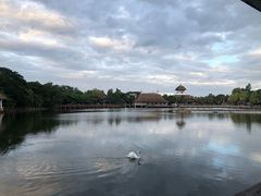 -清迈夜间动物园