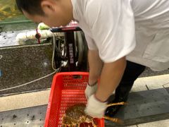 -蚝专家(北滘店)