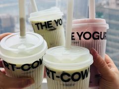 -一只酸奶牛(八一路店)