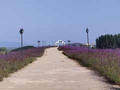 -密云玫瑰情园