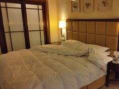 -武汉华美达光谷大酒店