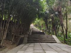 -武当山风景区-太子坡