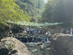 -石台牯牛降景区