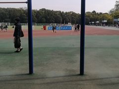 -武汉大学-樱园