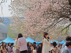 -吉林大学(南岭校区)