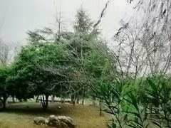 -堤角公园