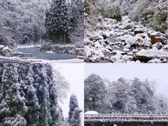 -龙苍沟森林公园