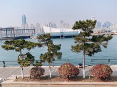-青岛威斯汀酒店六楼中国元素餐厅