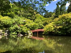 -醍醐寺