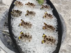 -富来美食